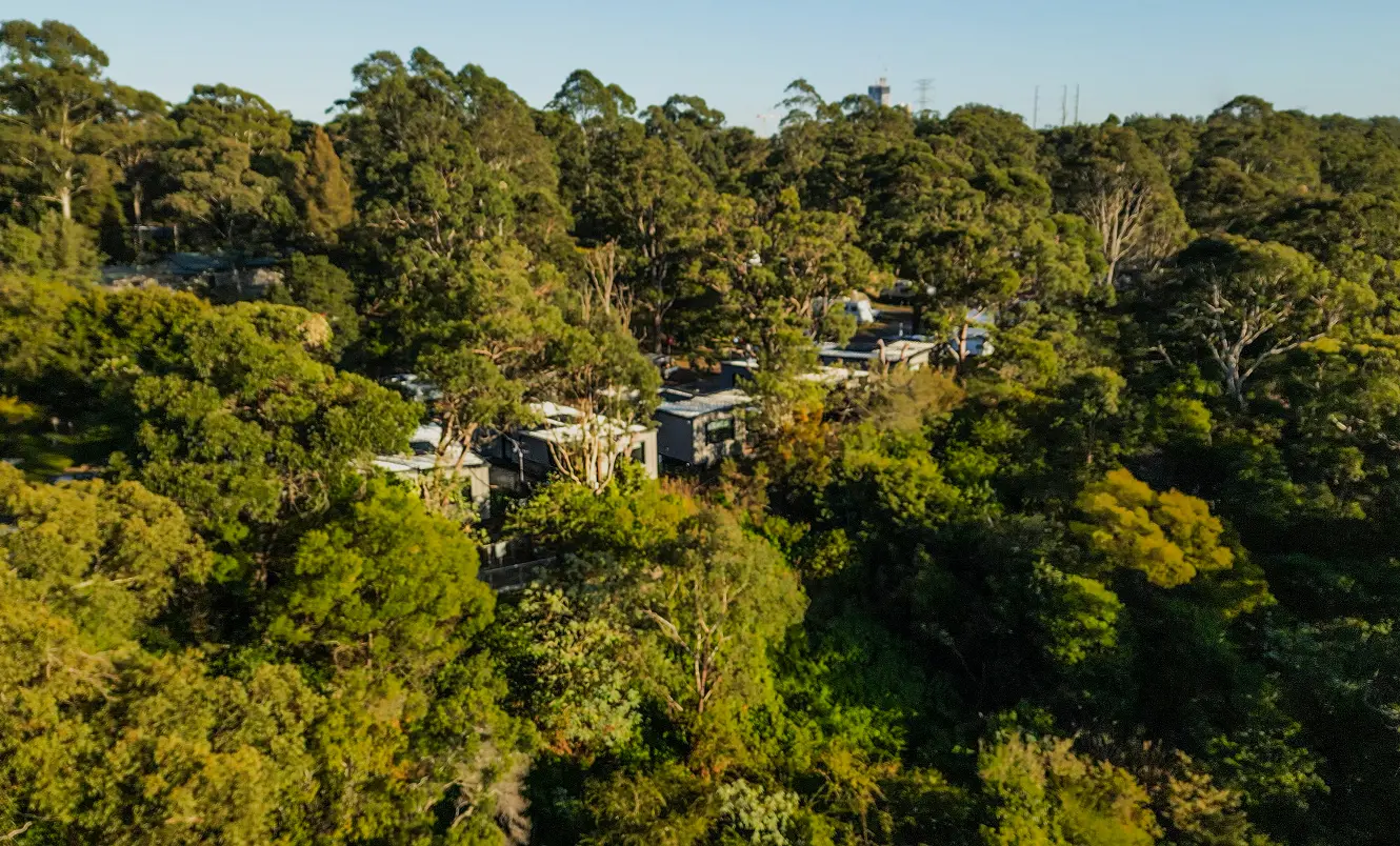 Bg Animate Environment@2x